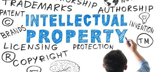 Workshops on Intellectual property