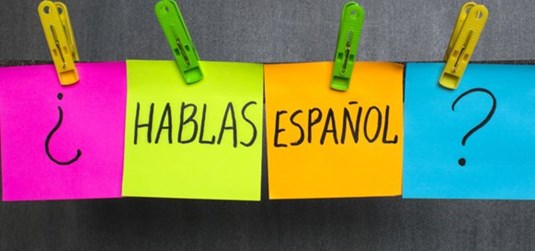 ULPGC ONLINE SPANISH WINTER SCHOOL 2022