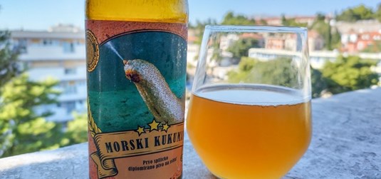 U časopisu Nature objavljen članak posvećen 