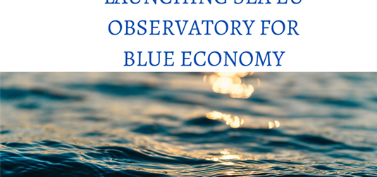 The SEA-EU Alliance launches the new online platform 