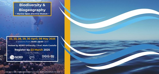 Prijavite se na Marine open elective modul 