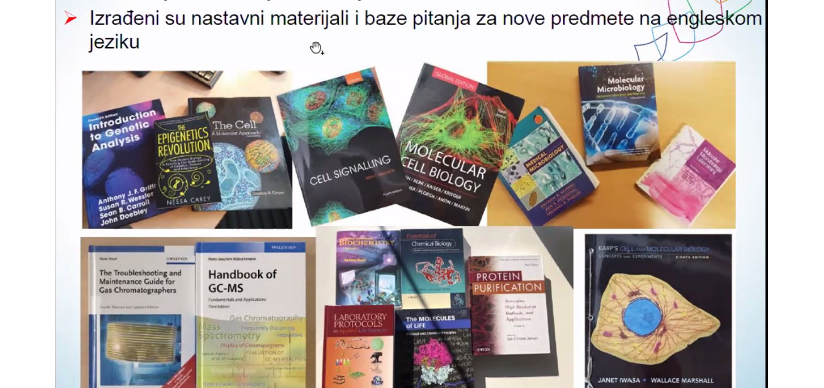 INTERNATIONALIZATION OF GRADUATE STUDY PROGRAMS AT THE FACULTY OF SCIENCE, UNIVERSITY OF SPLIT