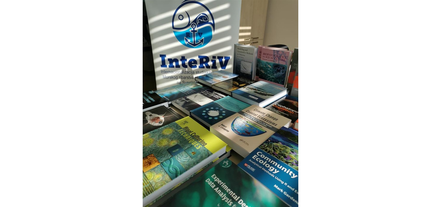 Successfully completed project 