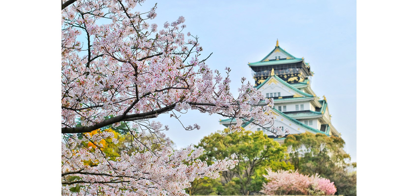 Japanese Government Scholarship Competition