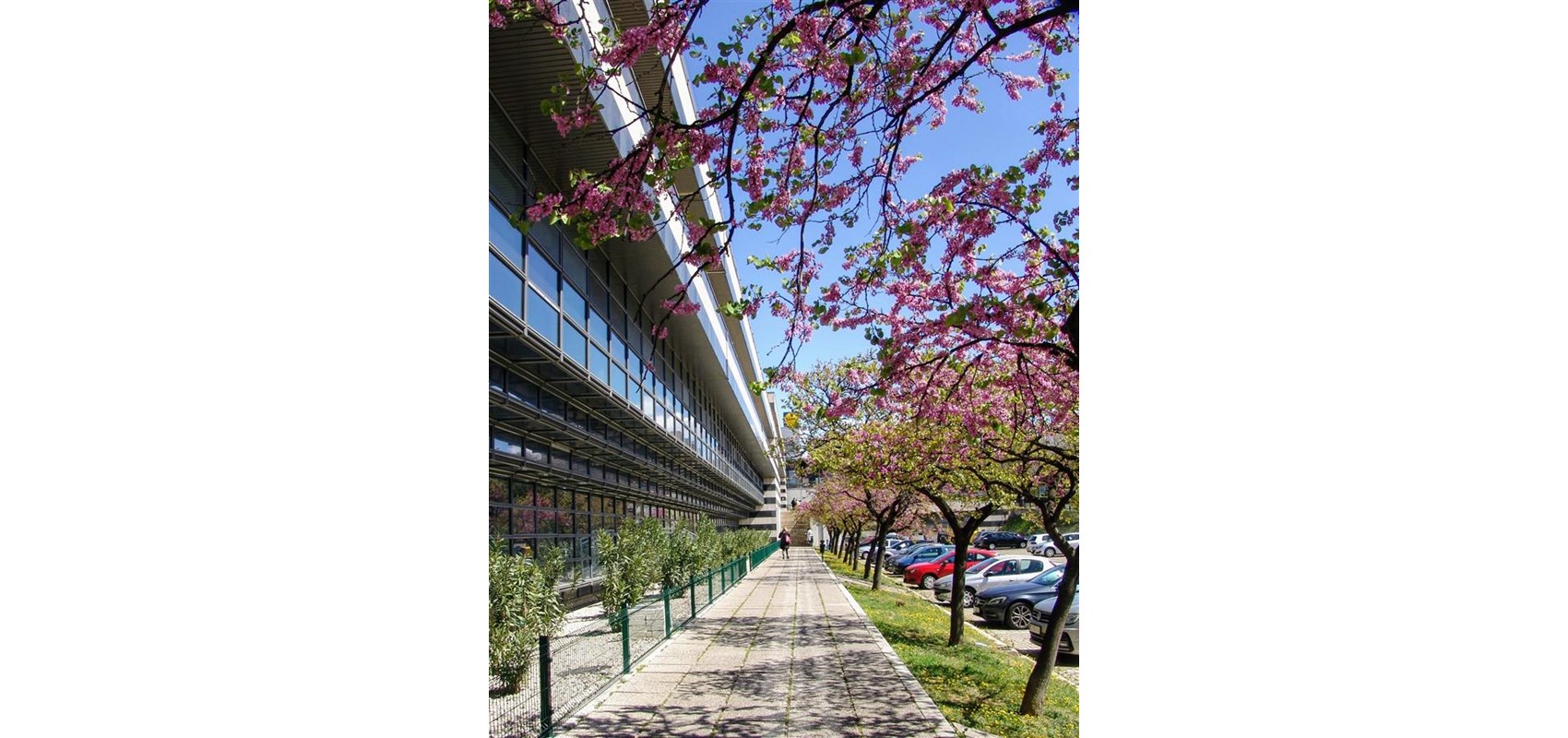 Centre for Transdisciplinary Research and Promoting Culture of Health established at University of Split’s Faculty of Humanities