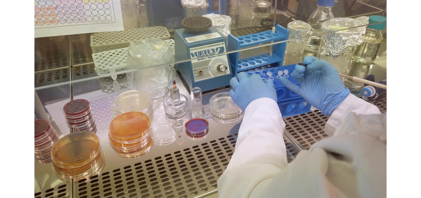 New graduate study in English, Molecular biology starting this fall at the Faculty of Science