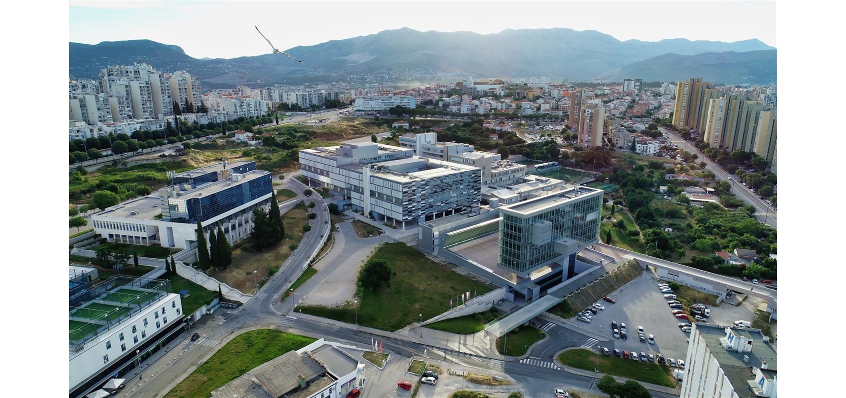 In 2021 University of Split scientists among 2 percent most cited in the world