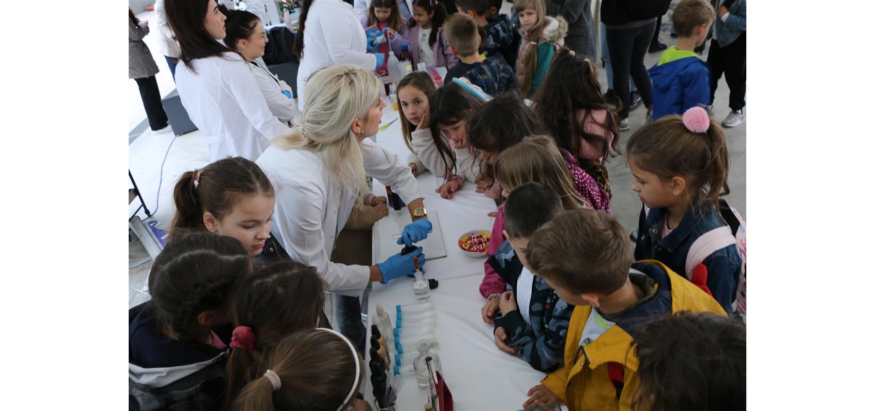 Science Festival