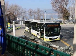 IMG_9006.JPG
