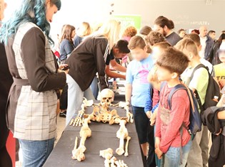 IMG_1487_promjena.JPG