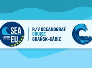 Cruise-social-media.png