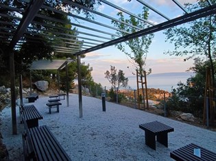 Botanicki_vrt__foto_privatni_album_3.jpg