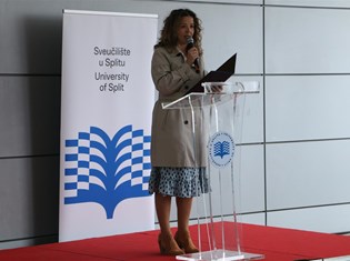 IMG_4428.JPG