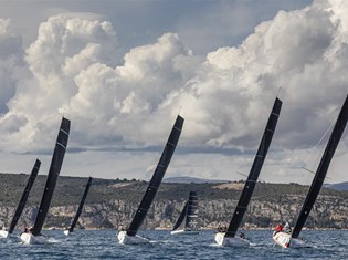 swan-croatia-challenge-1.jpg