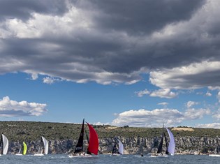 swan-croatia-challenge.jpg
