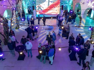 swan-party-vila-dalmacija.jpg