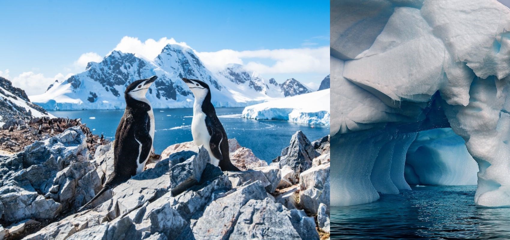 Otkrij Antarktiku uz SEA-EU i Instituto Antártico Chileno!