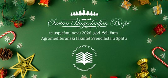 Sretan i blagoslovljen Božić te uspješna Nova 2026. godina