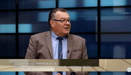 Split - Sveučilišni grad