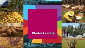 Agromediteranski fakultet predstavljen u jednoj od najgledanijih emisija HRT-a – Plodovi zemlje