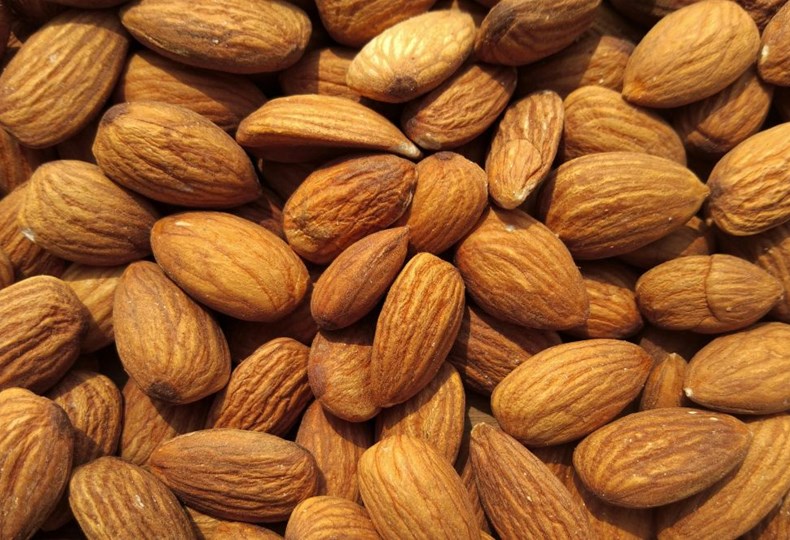 Diplomski studij Agronomija Mediterana