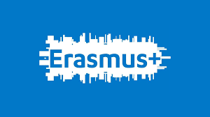 Erasmus anketa