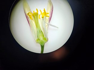 20260414_155448.jpg