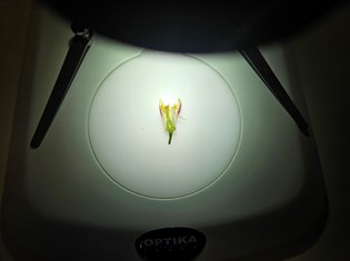 20260414_155458.jpg