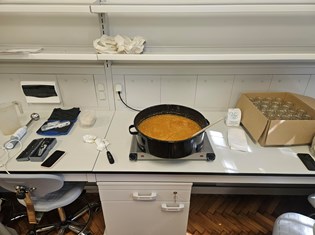 20260424_105337.jpg