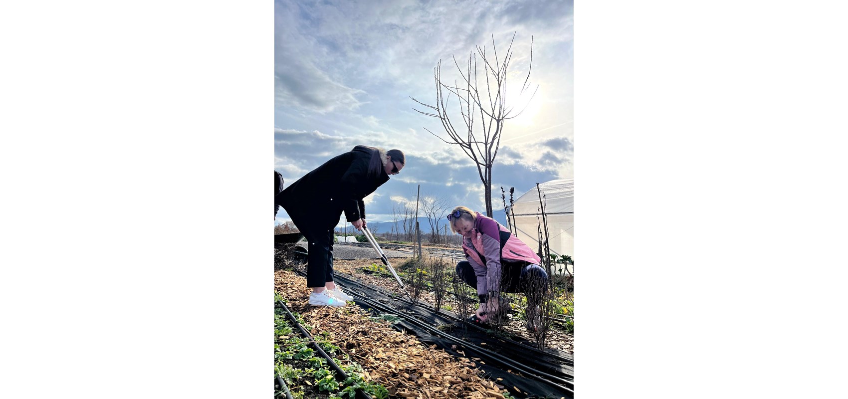 Izvješće s terenske nastave: Ekološki uzgoj povrća i aromatičnog bilja